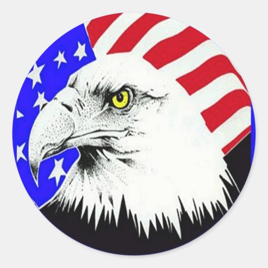 Bald Eagle en de Amerikaanse vlag Ronde Sticker (Voorkant)