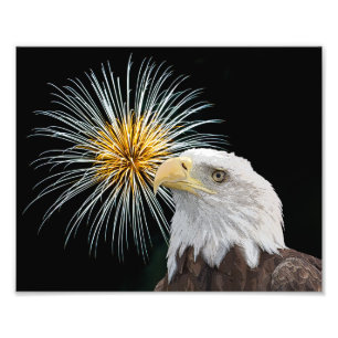 Bald Eagle en Fireworks Foto Afdruk