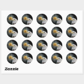Bald Eagle en Fireworks Ronde Sticker (Vel)