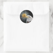 Bald Eagle en Fireworks Ronde Sticker (Tas)