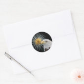 Bald Eagle en Fireworks Ronde Sticker (Envelop)