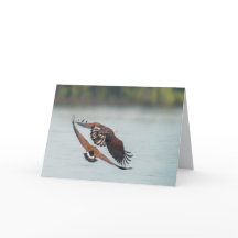 Bald Eagle en Goose Wildlife Blank