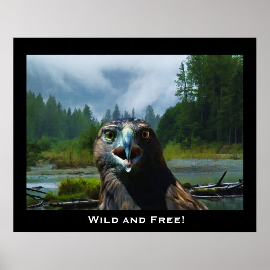 Bald Eagle en Misty Alaskan Motivatie Poster (Voorkant)
