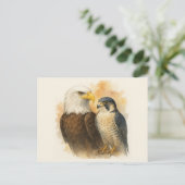 Bald Eagle en Peregrine Falcon Wildlife Art Briefkaart (Staand voorkant)