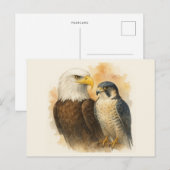 Bald Eagle en Peregrine Falcon Wildlife Art Briefkaart (Voorkant / Achterkant)