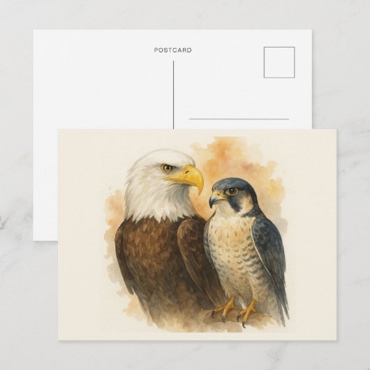 Bald Eagle en Peregrine Falcon Wildlife Art Briefkaart (Voorkant / Achterkant)