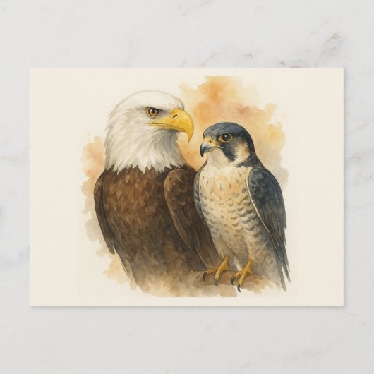 Bald Eagle en Peregrine Falcon Wildlife Art Briefkaart (Voorkant)