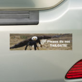 Bald Eagle en Raven Chase Funny Bumpersticker (Op auto)