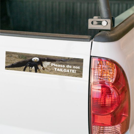 Bald Eagle en Raven Chase Funny Bumpersticker (Op Truck)