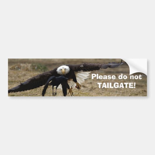 Bald Eagle en Raven Chase Funny Bumpersticker (Voorkant)