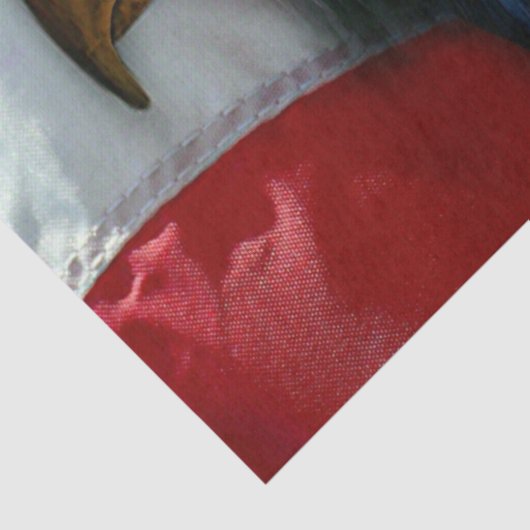 Bald Eagle en Wolf American Flag Tissuepapier (Detail)