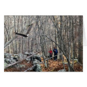 Bald Eagle Encounter (Voorkant Horizontaal)