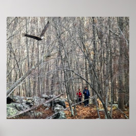 Bald Eagle Encounter Poster