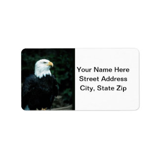 Bald Eagle Etiket