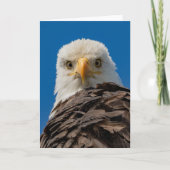 Bald Eagle Eyes Hartelijk dank Bedankkaart (Voorkant)