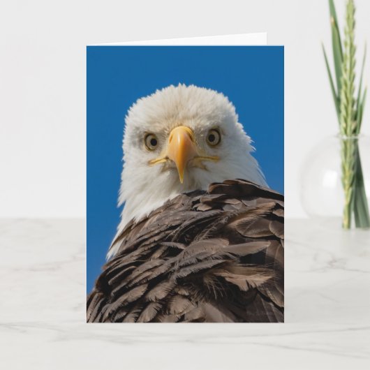 Bald Eagle Eyes Hartelijk dank Bedankkaart (Voorkant)