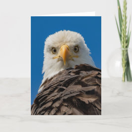 Bald Eagle Eyes Hartelijk dank Bedankkaart