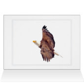 Bald Eagle Eyes tegen de hemel (Binnen Horizontaal (Boven))