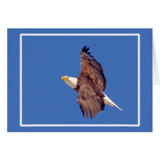 Bald Eagle Eyes tegen de hemel (Voorkant Horizontaal)