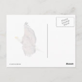 Bald Eagle Eyes tegen de hemel Briefkaart (Achterkant)