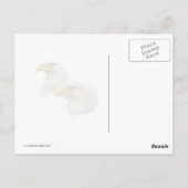 Bald Eagle Familie van Vier Briefkaart (Achterkant)