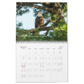 Bald Eagle Familie van Vier Kalender (Mar 2027)