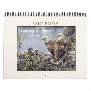 Bald Eagle Familie van Vier Kalender