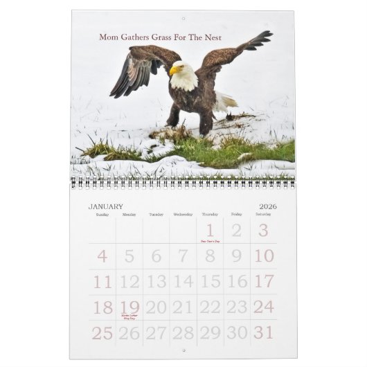 Bald Eagle Familie van Vier Kalender (Jan 2026)