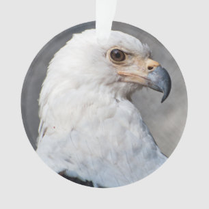 Bald Eagle Familienaam Ornament