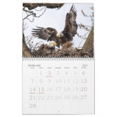 Bald Eagle Family Agenda Kalender (Feb 2027)