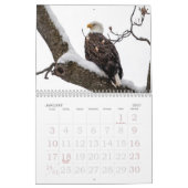 Bald Eagle Family Agenda Kalender (Jan 2027)