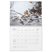 Bald Eagle Family Agenda Kalender (Mar 2027)