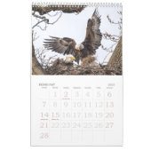 Bald Eagle Family Agenda Kalender (Feb 2027)