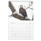 Bald Eagle Family Agenda Kalender (Jan 2027)