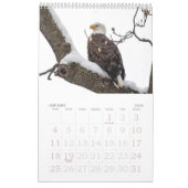 Bald Eagle Family Agenda Kalender (Jan 2026)