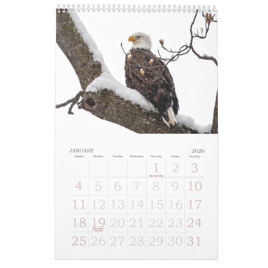 Bald Eagle Family Agenda Kalender (Jan 2026)