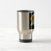 Bald Eagle fantasy reismoug Reisbeker (Center)