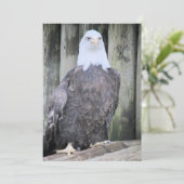 Bald eagle feestdagenkaart (Staand voorkant)