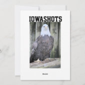 Bald eagle feestdagenkaart (Achterkant)