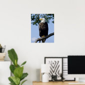 Bald Eagle Fine Art Prints (Thuiskantoor)
