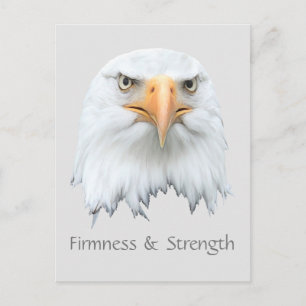 Bald Eagle Firmness & Sterkte aanpasbaar Briefkaart