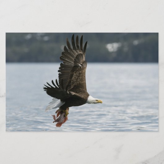 Bald Eagle Fish Retrieval Briefpapier (Voorkant)
