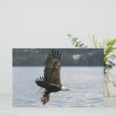 Bald Eagle Fish Retrieval Briefpapier (Staand voorkant)