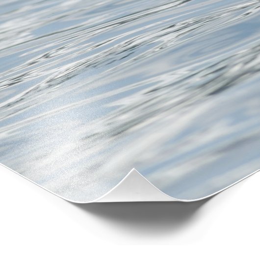 Bald Eagle Fish Retrieval Foto Afdruk (Hoek)