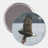 Bald Eagle Fish Retrieval Magneet (Voorkant / Achterkant)