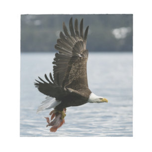 Bald Eagle Fish Retrieval Notitieblok