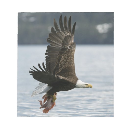 Bald Eagle Fish Retrieval Notitieblok (Voorkant)