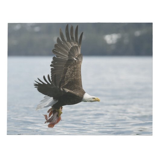 Bald Eagle Fish Retrieval Notitieblok (Voorkant)