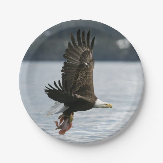 Bald Eagle Fish Retrieval Papieren Bordje (Voorkant)