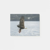 Bald Eagle Fish Retrieval Post-it® Notes (Voorkant)